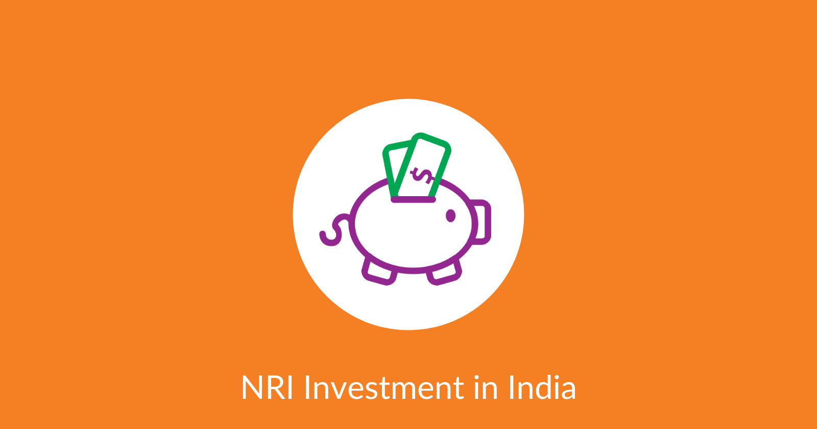 NRI Investment in India